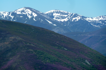 Cordillera Cantábrica